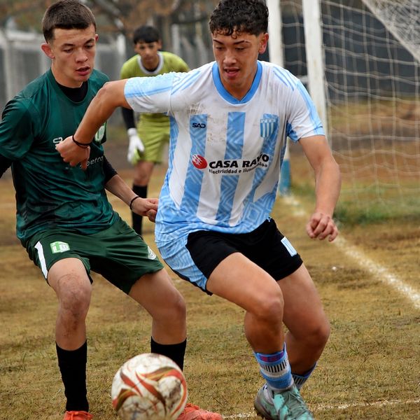 nicolas Cuello