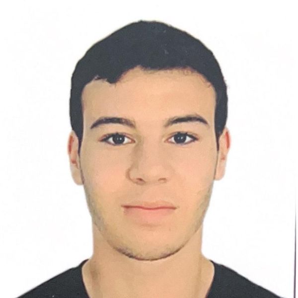 Hassan Elmesseiry